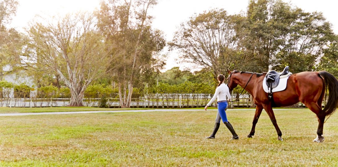 Introduction to The Stables