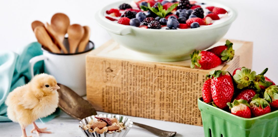 Homemade Yogurt