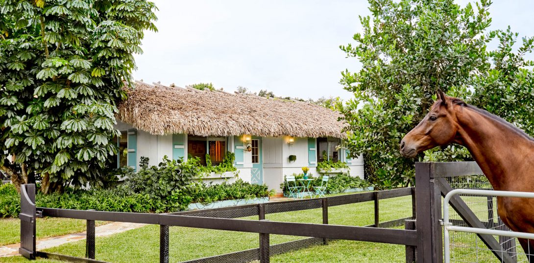 Before & After: Shana’s Cottage