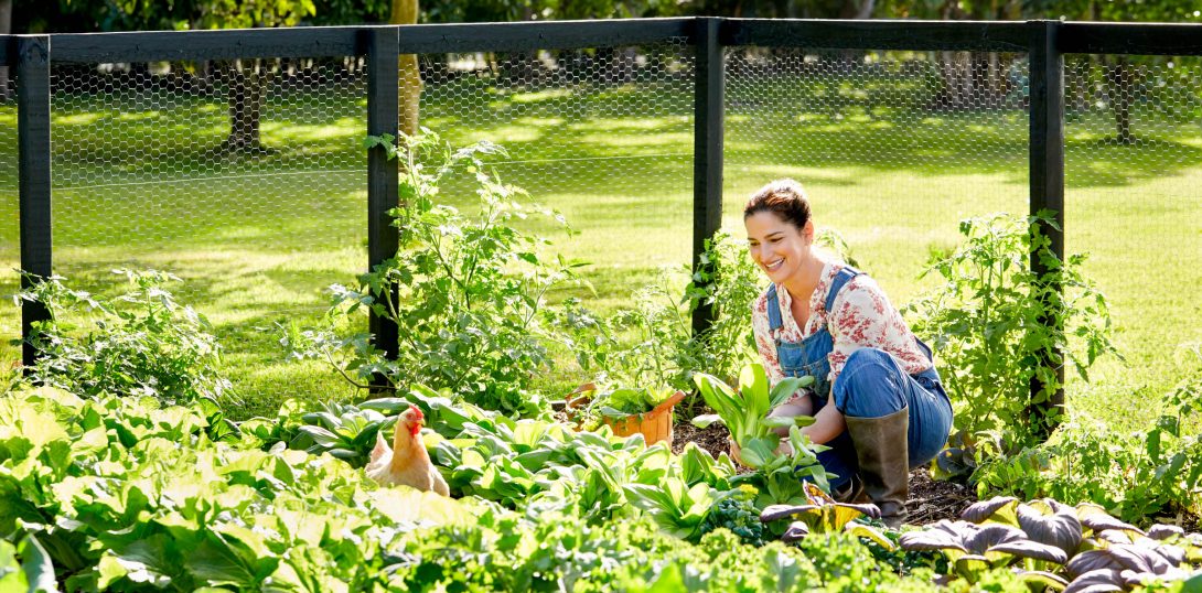Good Things In The Garden