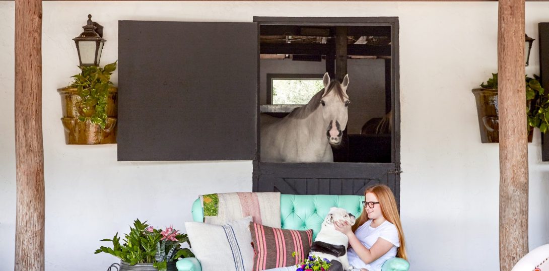 Living & Loving With Our Animals