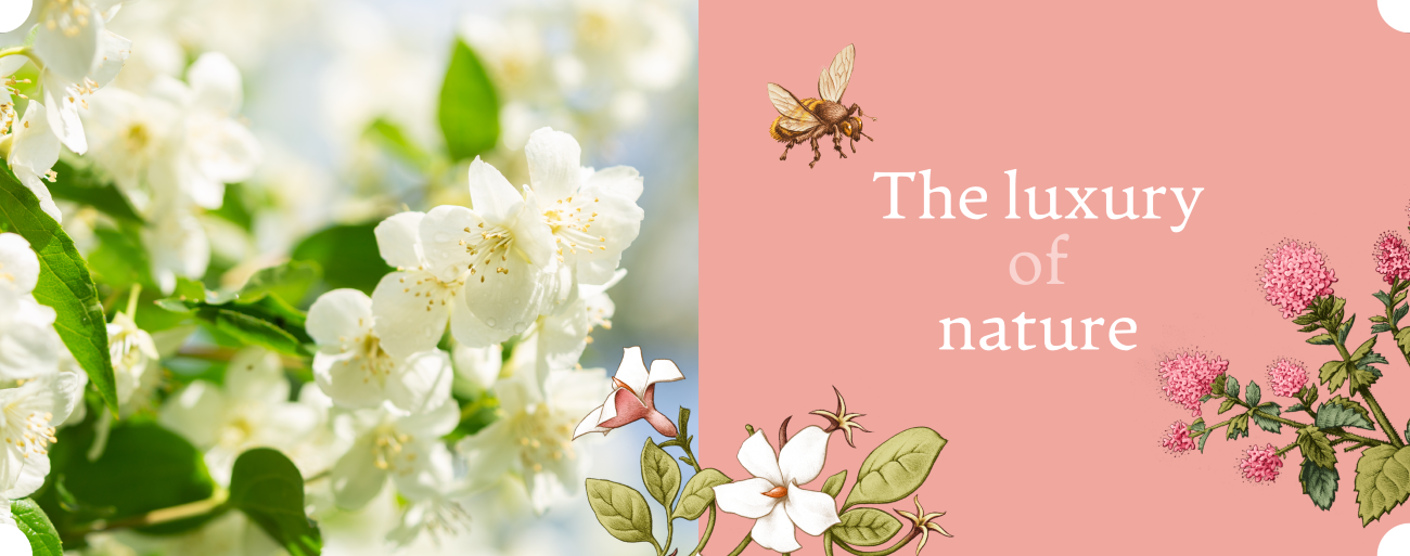 Banner desktop 2 - Jasmine Joy