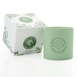 Apple Cinnamon Pottery Edition Candle - 425g