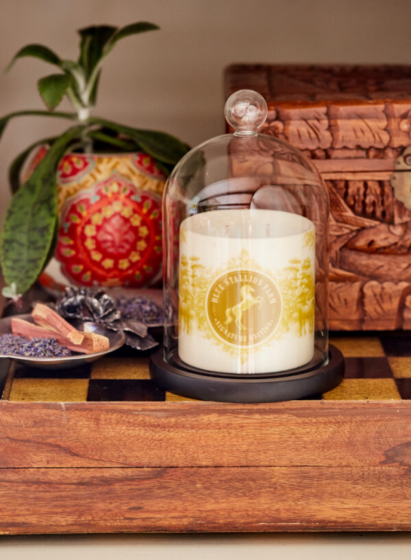 Cashmere Flora Signature Edition Candle - 425g