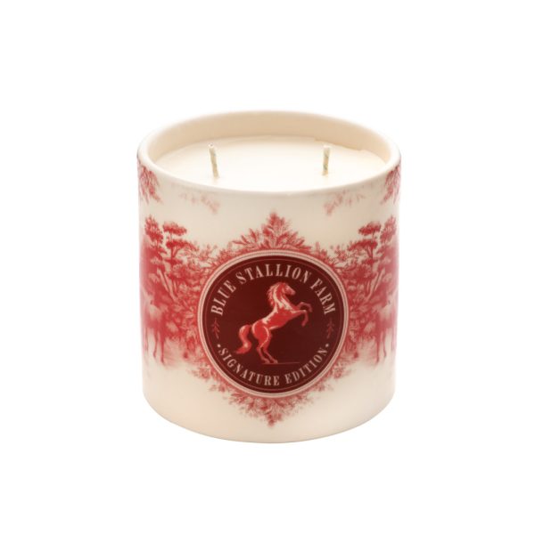 Vanilla Roast Holiday Candle - 425g